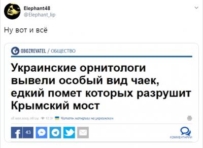 Прикрепленное изображение: Помет укр чаек разрушит мост.jpg